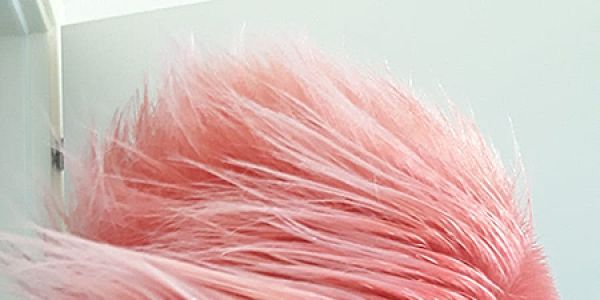 17-hairlab-coloreC823F7FD-3E3E-FE51-8D8E-EDC4F0E7818D.jpg